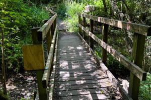 Buncton bridge access Buncton bridge access